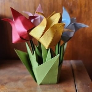 Jardín de tulipanes coloridos